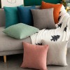 Home Lisi velvet pillow case simple solid color sofa pillow case office cushion cover