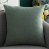 Home Lisi velvet pillow case simple solid color sofa pillow case office cushion cover
