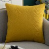 Home Lisi velvet pillow case simple solid color sofa pillow case office cushion cover