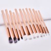 12 eye makeup brush sets, beauty tools, wooden handle, eye shadow brush, portable nylon hair eye shadow brush.