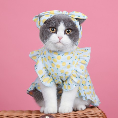 Pet clothes summer thin cat hair proof English short Garfield Maltese small dog sleeveless fruit dress