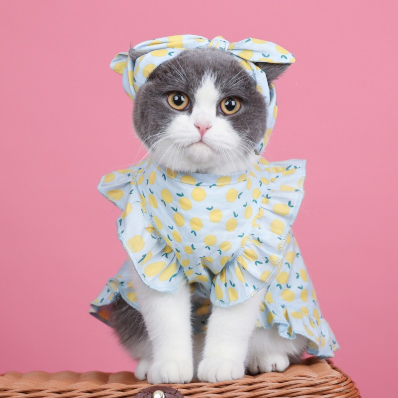 Pet clothes summer thin cat hair proof English short Garfield Maltese small dog sleeveless fruit dress