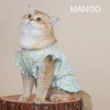 Pet clothes summer thin cat hair proof English short Garfield Maltese small dog sleeveless fruit dress