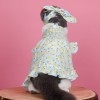 Pet clothes summer thin cat hair proof English short Garfield Maltese small dog sleeveless fruit dress