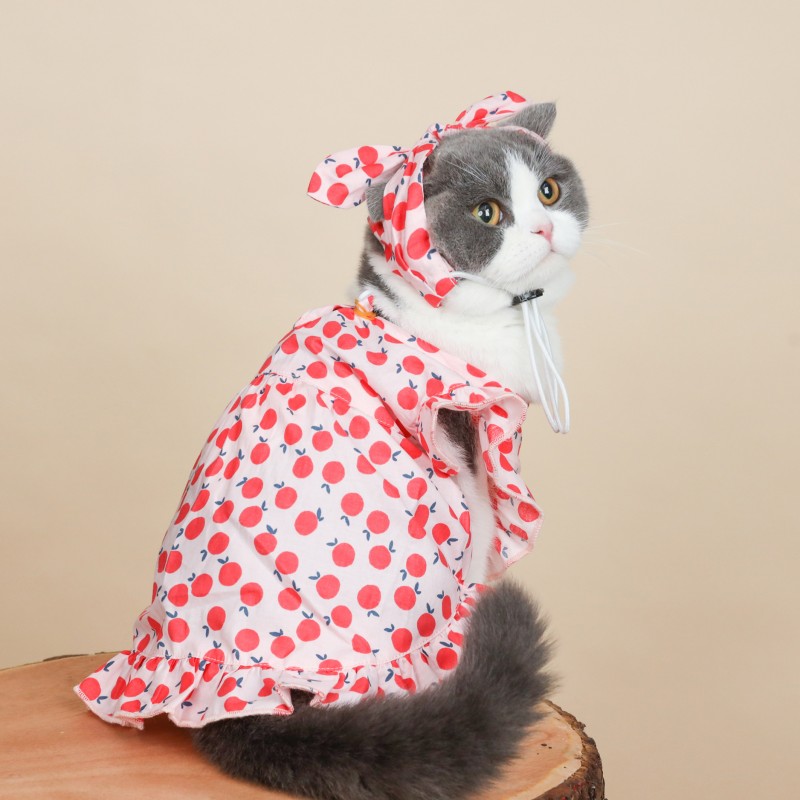Cat clothes cat thin hair proof pet puppet cat princess skirt kitten summer Fairy Dress