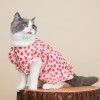 Cat clothes cat thin hair proof pet puppet cat princess skirt kitten summer Fairy Dress
