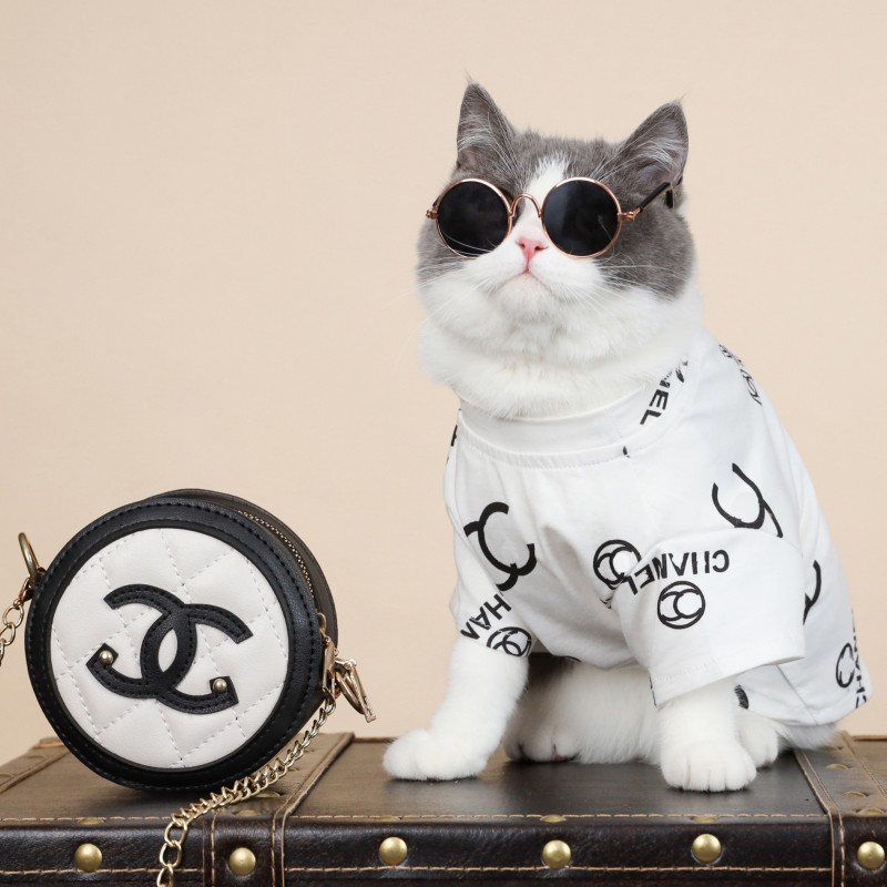 Pet clothes cat European and American letter T-shirt anti hair off English short Garfield hairless cat Maltese small dog clothes
