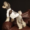 Pet clothes summer thin hot drill rabbit T-shirt Teddy Schnauzer FAW firewood dog cat than bear dog clothes