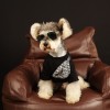 Pet clothes summer thin hot drill rabbit T-shirt Teddy Schnauzer FAW firewood dog cat than bear dog clothes