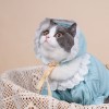 Korean ins cat clothes summer thin anti falling wool cloth doll little milk cat cute pet dog cat clothes