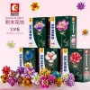 Senbao Building Blocks Flower 601232 Girl Gift Compatible with Lego Flower Bundle Puzzle Assembly Toy Holiday Gift