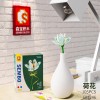 Senbao Building Blocks Flower 601232 Girl Gift Compatible with Lego Flower Bundle Puzzle Assembly Toy Holiday Gift