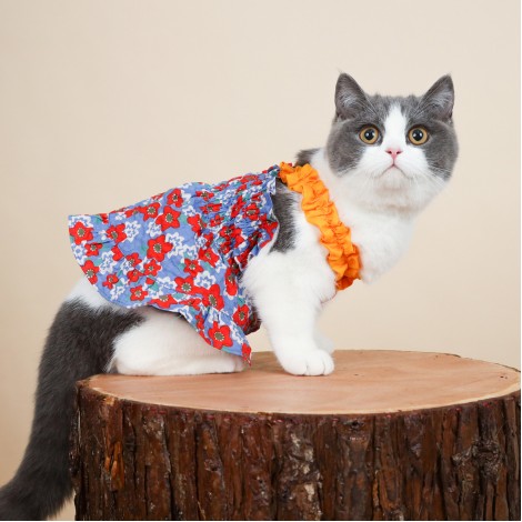 Spring and summer thin Korean ins pet dog cat clothes summer anti falling wool cloth even blue and White Sleeveless suspender skirt