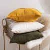 Pillow cover living room sofa velvet cushion light luxury model room sofa pillow back Plush sofa pillow cover