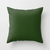 Home pillow case green series Frida pillow case living room sofa decorative pillow case cushion