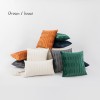 Nordic simple Dutch velvet pillow corrugated cushion cover living room sofa waist