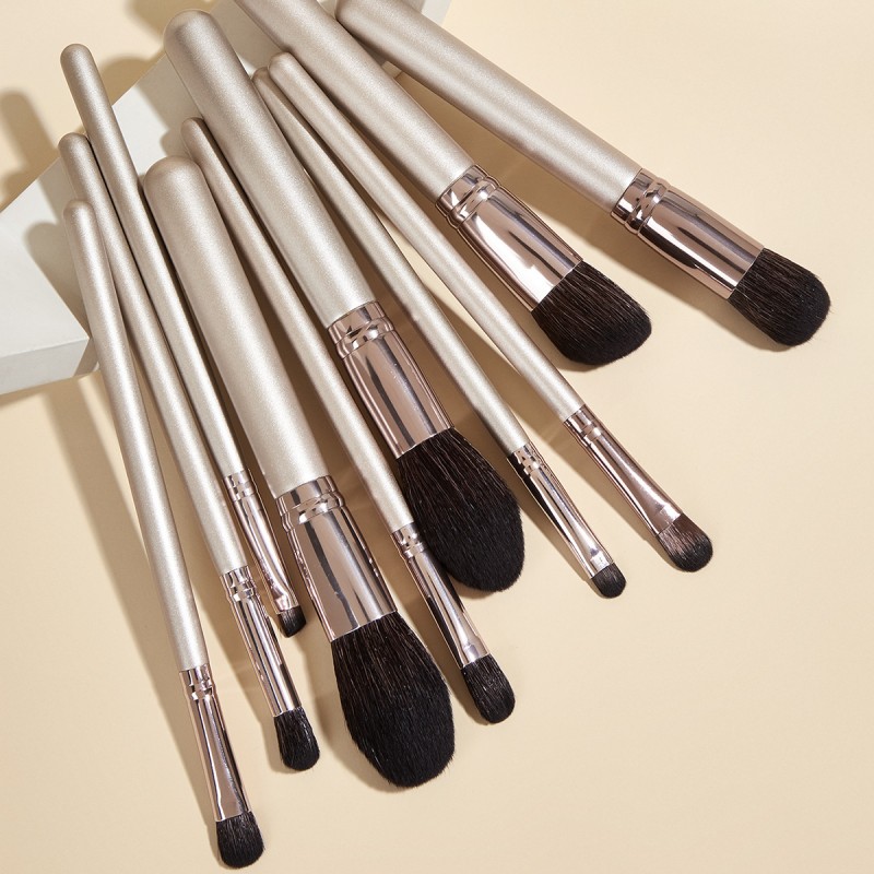 The magic boat 10 makeup brush sets, champagne, Kinsey, horse hair, eye shadow, brush, beauty tools, 10 pieces of powder.