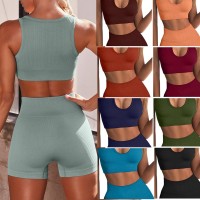 Sexy V-neck vest and shorts tight seamless Yoga suit set women's European and American fitness suit 