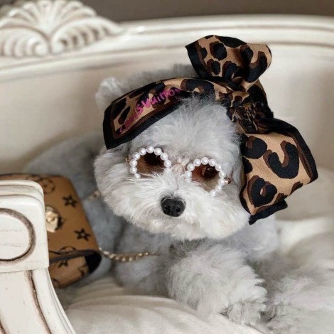 Cat glasses pet dog pearl Sunglasses Teddy bee panda Kitty doll photo Sunglasses headdress love