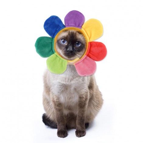 2021 pet sunflower hat Teddy dress up flower headdress cat headgear pet supplies