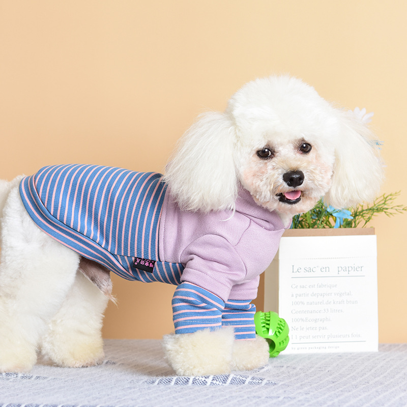 Dog clothes autumn and winter Plush warm sweaters cat two legged clothes pet clothes Teddy hooded sweaters