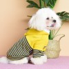 Dog clothes autumn and winter Plush warm sweaters cat two legged clothes pet clothes Teddy hooded sweaters