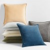 Nordic ins bonded velvet pillow case waist pillow sofa cushion cover home plush pillow case back pillow