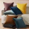Nordic ins bonded velvet pillow case waist pillow sofa cushion cover home plush pillow case back pillow
