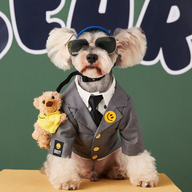 Dog clothes suit coat Teddy Chenery bomeifa doubi bear pet autumn and winter handsome two legged clothes