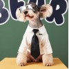 Pet clothes autumn summer white shirt Teddy Chenery than bear dog small dog handsome fashion two legged clothes