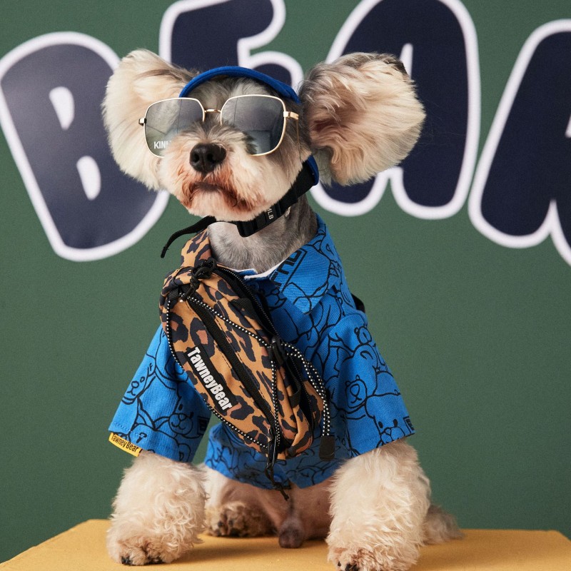 Dog clothes handsome cute shirt autumn Teddy Chenery bear printed pet bipedal fashion