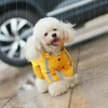 Reflective pet raincoat four legged dog raincoat outdoor hooded waterproof poncho for all seasons