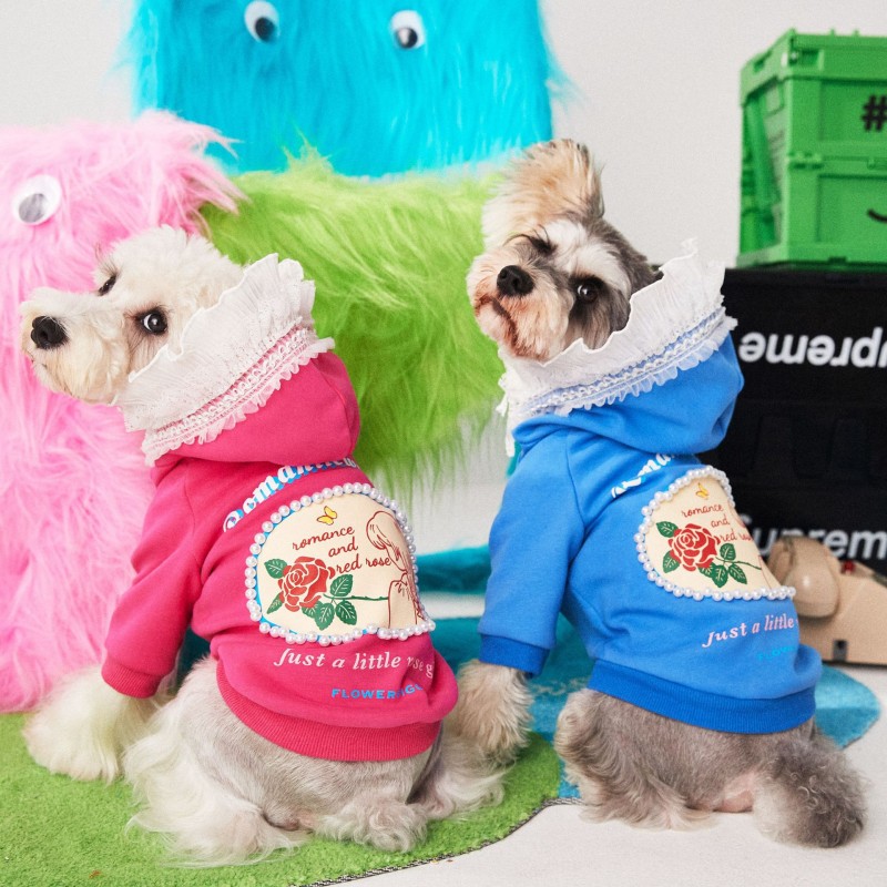 Pet clothes autumn a...