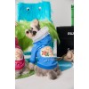 Pet clothes autumn and winter Teddy Schnauzer than bear Bomei small and medium-sized dog lace collar Hoodie