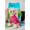 Pet clothes autumn and winter Teddy Schnauzer than bear Bomei small and medium-sized dog lace collar Hoodie