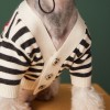 Dog clothes autumn and winter Teddy Chenery Fabio bear cute pet small dog stripe sweater cardigan