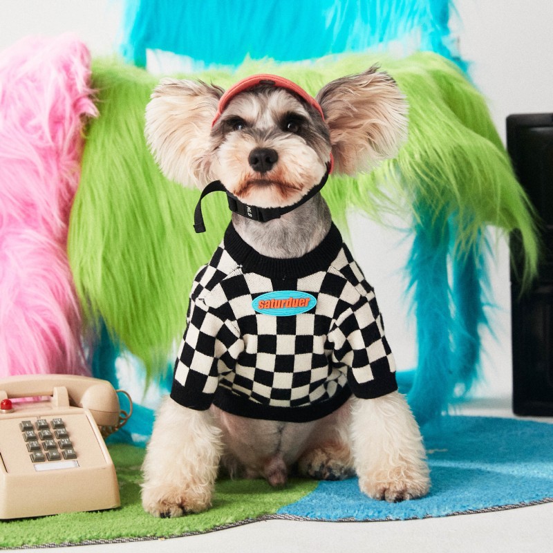 Pet clothes checkerb...