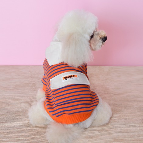 Pet hooded sweater than bear Bomei Chenery small dog Teddy dog clothes autumn two legged clothes