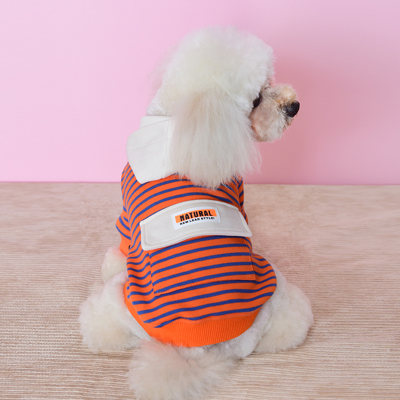 Pet hooded sweater than bear Bomei Chenery small dog Teddy dog clothes autumn two legged clothes