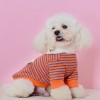 Pet hooded sweater than bear Bomei Chenery small dog Teddy dog clothes autumn two legged clothes