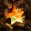 Christmas decoration led small lights Christmas tree decoration small pendant shop window decoration